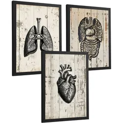POSTER Set aus 3 Anatomie Mensch Drucke und Wandbilder mit Lungen Darm und Herz Rustikaler Stil Medizinische Wanddekoration Größe Schwarzer Rahmen A3