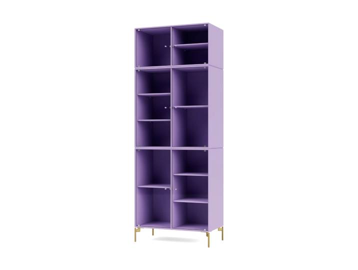 Montana Ripple IV Vitrinenschrank 69,6x187,2x38 cm Iris-Beine brass