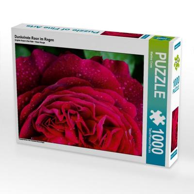 CALVENDO Puzzle Dunkelrote Rose im Regen | 1000 Teile Lege-Größe 64x48cm Foto-Puzzle für glückliche Stunden