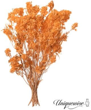 Uniquewise Preserved Real Floral Stems Chic Vase Fillers & Accents for Bouquets Centerpieces & Ornamental Displays