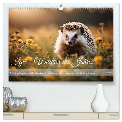 Igel - Wildtier des Jahres (hochwertiger Premium Wandkalender 2027 DIN A2 quer), Kunstdruck in Hochglanz