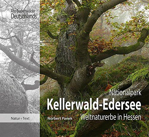 Norbert Panek - Nationalpark Kellerwald-Edersee: Weltnaturerbe in Hessen (Alte Buchenwälder Deutschlands) - Preis vom 09.10.2026 07:28:09 h