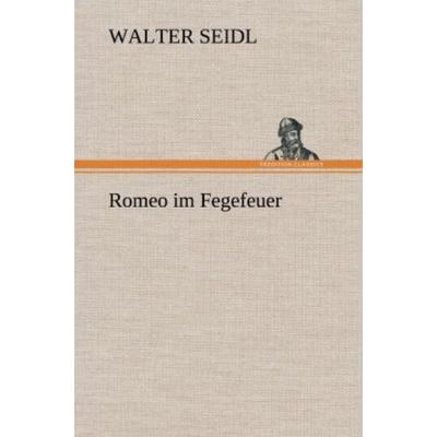 Romeo im Fegefeuer, Gebundene Ausgabe von Walter Seidl, Tredition, 978-3-8472-7023-2