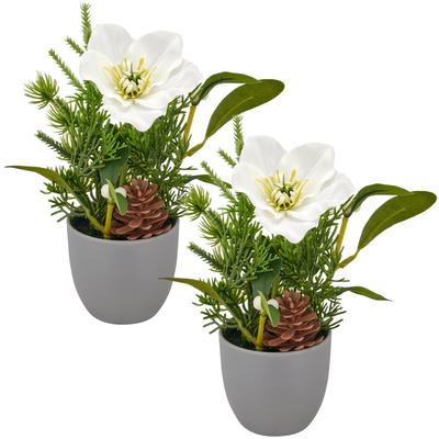 Winterliche Kunstpflanze CREATIV GREEN "Arrangement mit Christrose", grün (weiß), H:18cm, Polyester, Kunstpflanzen, mit Tannenzweigen und Zapfen