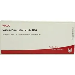 VISCUM PINI e planta tota D 60 Ampullen 10 ml