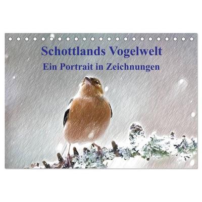Schottlands Vogelwelt - Ein Porträt in Zeichnungen (Tischkalender 2026 DIN A5 quer), CALVENDO Monatskalender