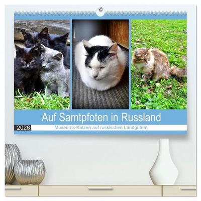 Auf Samtpfoten in Russland - Museums-Katzen auf russischen Landgütern (hochwertiger Premium Wandkalender 2026 DIN A2 quer), Kunstdruck in Hochglanz