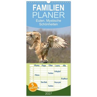 Familienplaner 2027 - Eulen. Mystische Schönheiten mit 5 Spalten (Wandkalender, 21 x 45 cm) CALVENDO