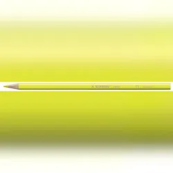 STABILO Buntstift ® color Etui, 2,5 mm, sortiert, Kartonetui mit 12 Stiften