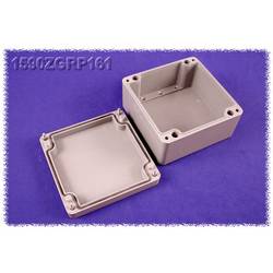 Hammond Electronics 1590ZGRP161PL 1590ZGRP161PL Einlegeplatte Stahlblech Natur 1 St.