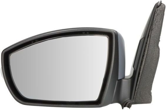 BLIC 5402-03-0399310P Wing mirror