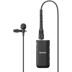 Sony ECM-L1, Mikrofon