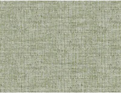 York Wallcoverings Papyrus Weave Green Wallpaper