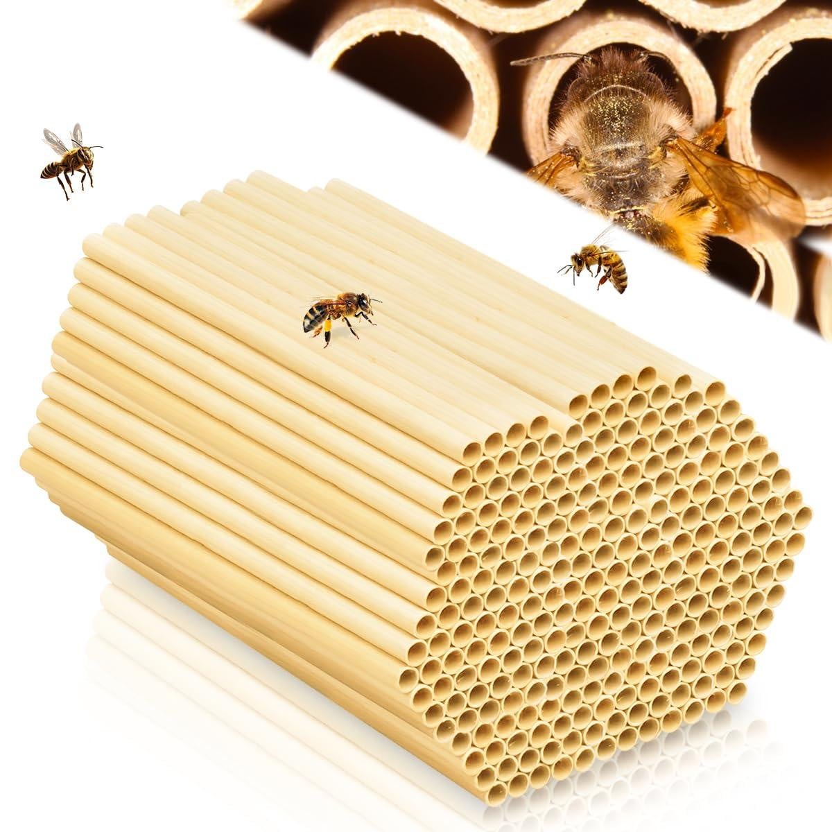 Solidchoice 300 stuks nisthulzen voor insectenhotel van 15 cm voor wildbijen