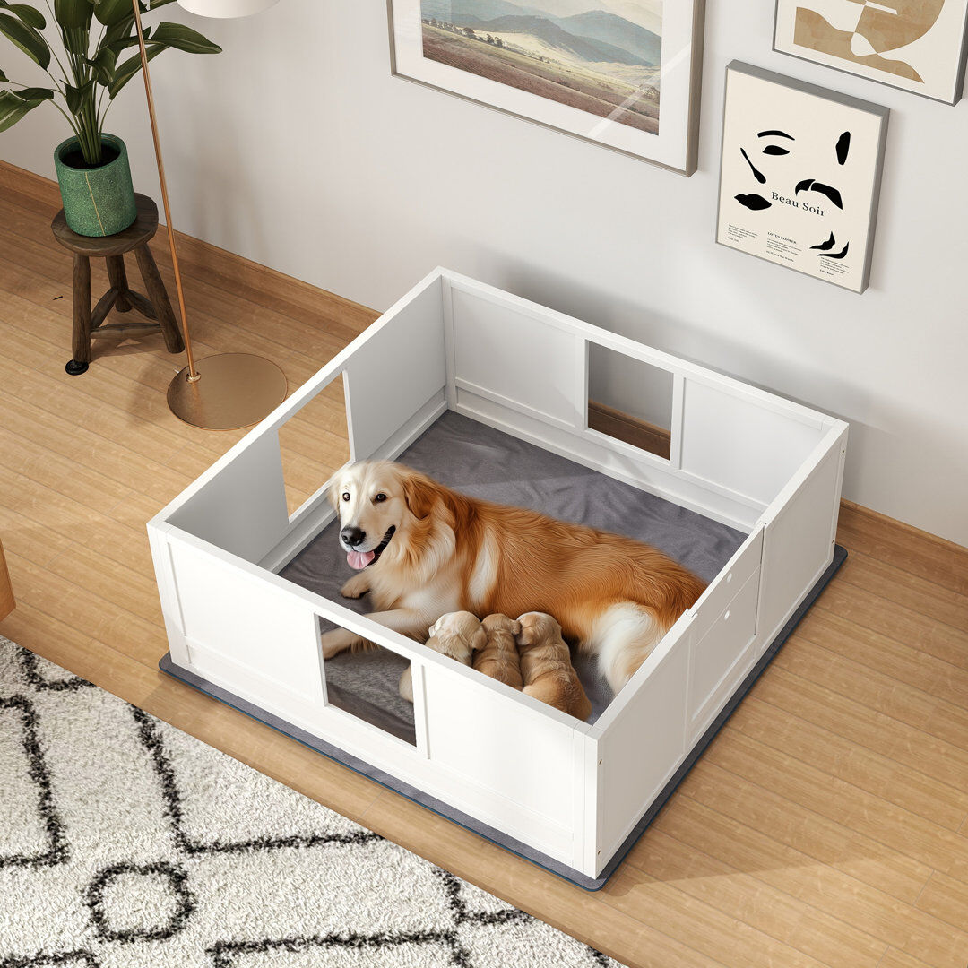 PawHut Dog Whelping Box with Whelping Pad Adjustable Entrance 124 x 120cm White Large (50-95lbs)