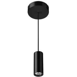 Philips Lighting 3D-LED-Pendelleuchte PT332C27S#83831400