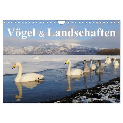 Vögel & Landschaften (Wandkalender 2027 DIN A4 quer), CALVENDO Monatskalender