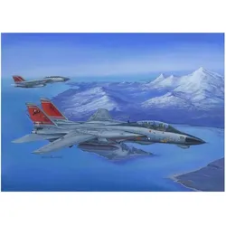 Hobby Boss F-14D Super Tomcat
