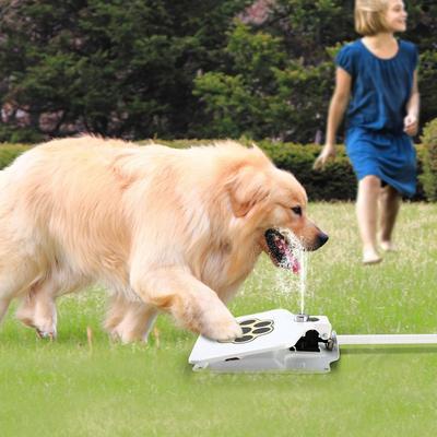 All Categories Goods Step On Dog Water Fountain Outdoor Paw Activated Fresh Water Dispenser System Step On Dog Water Fountain Outdoor Paw Activated Fresh Water Dispenser System