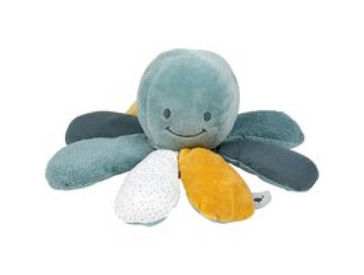 Activity-Octopus Lapidou