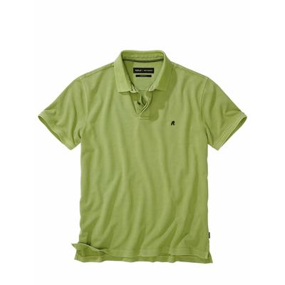 Collab-Polo