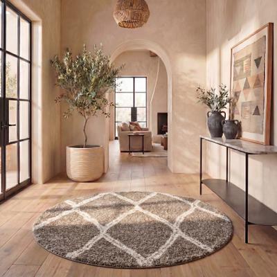 SAFAVIEH Hudson Shag Vojsava 2-inch Thick Rug