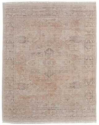 Grand Bazaar Ramey Hand Woven Medallion Transitional Area Rug
