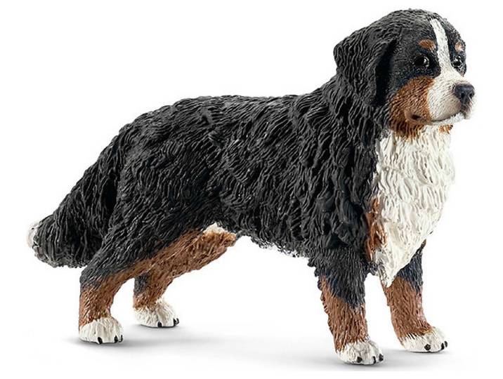 schleich Farm World 16397 Berner Sennenhündin