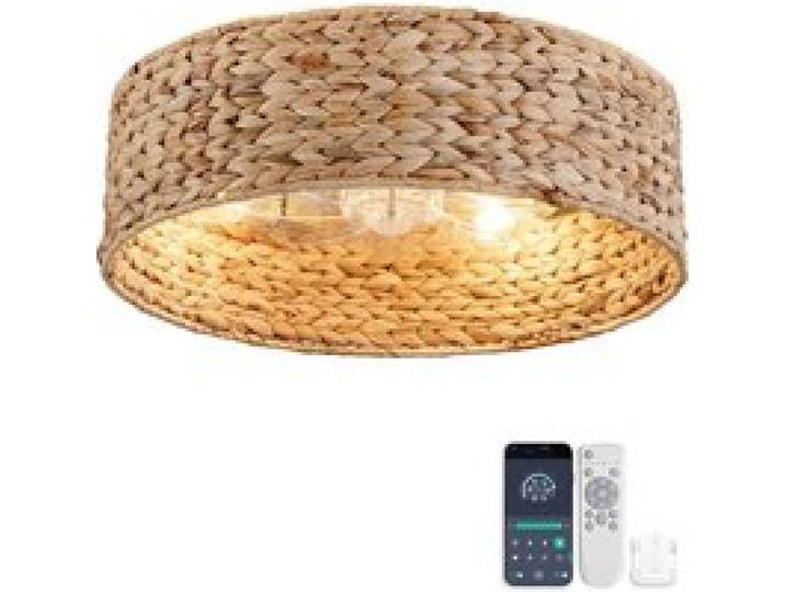 Plafonnier Ventilateur avec éclairage & Rotin Tressé - Ventilateur de plafond - 6 Vitesses - Silencieux - Naturel