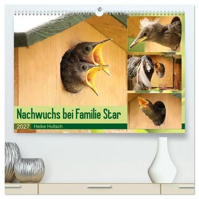 Nachwuchs bei Familie Star (hochwertiger Premium Wandkalender 2027 DIN A2 quer), Kunstdruck in Hochglanz