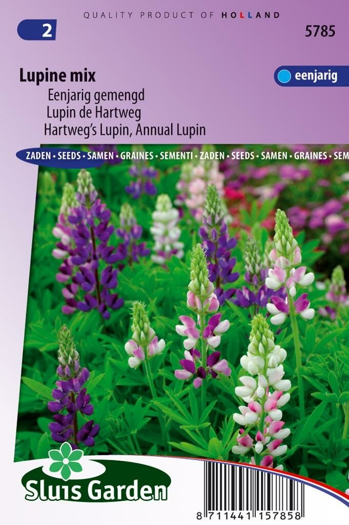 Sluis Garden Lupinus Hartwegii zaden Choice Mix Lupine