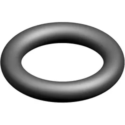 O-Ring (10x) - 7100114