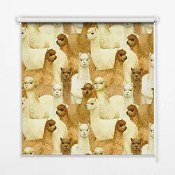 INNENROLLO - Fensterrollo - Rollo - 150x140 cm - Alpakaherde