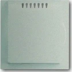 Busch-Jaeger Zentralscheibe cha 6541-79