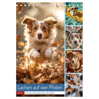 Lachen auf vier Pfoten (Tischkalender 2027 DIN A5 hoch), CALVENDO Monatskalender