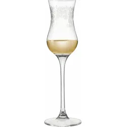 6er-Set Leonardo Schnapsglas Chateau 90 ml Glas Transparent Klar