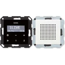 Gira Radio UP RDS reinweiss 228003 System 55 Bedienaufs. Schwarzglas (FM, Bluetooth), Radio, Weiss