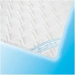 Traumschlaf, Duvet, Seidenduvet Clean Silk (750 g, Baumwolle, Seide, 160 x 210 cm)
