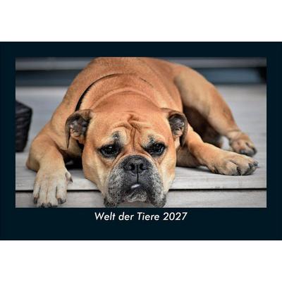 Welt der Tiere 2027 Fotokalender DIN A5