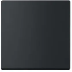 Busch-Jaeger Wippe 1-fach für Bedienelement Smart Switch 6735BT-885