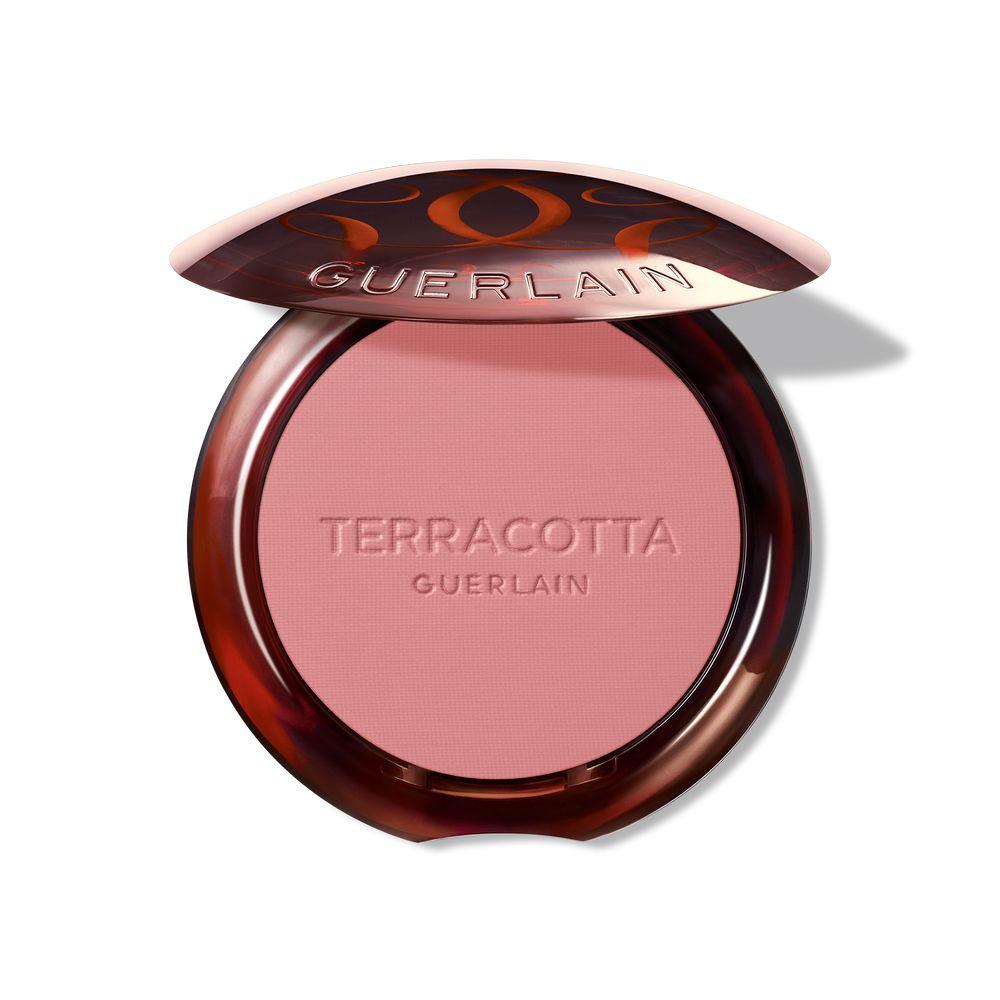 Terracotta Blush Blush Effect Goede Gezicht #01