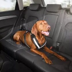 Audi Hundeschutzgurt klein für Hunde bis 15 kg 8X0019409
