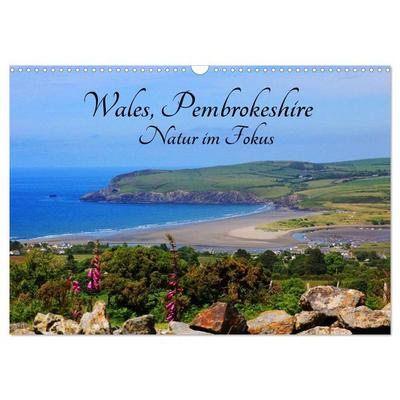 Wales Pembrokeshire - Natur im Fokus- (Wandkalender 2026 DIN A3 quer), CALVENDO Monatskalender