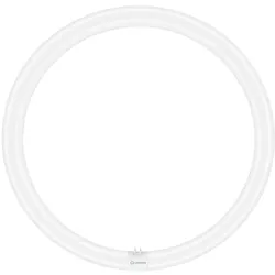 Ledvance LED Ring-Röhre "LED TUBE T9 C 40 EM V" Ø400mm 24W 865 KVG/VVG 230V 40W Ersatz
