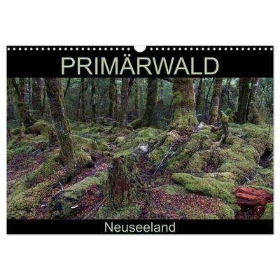 Primärwald - Neuseeland (Wandkalender 2026 DIN A3 quer), CALVENDO Monatskalender