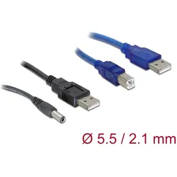 Delock Kabelset 2-fach USB-A zu DC + USB-B 30 cm