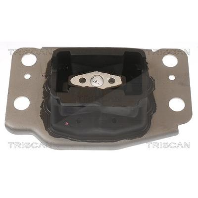 Triscan Lagerung, Motor [Hersteller-Nr. 850510137] für Ford, Ford Usa, Volvo