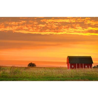 Fototapete PAPERMOON "Bauernhof Landschaft", bunt, B:3m L:2,23m, Vlies, Tapeten