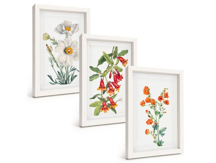 BILDER SET 3er Set - 20x30 cm Weißer Rahmen - Retro-Blumenarrangements