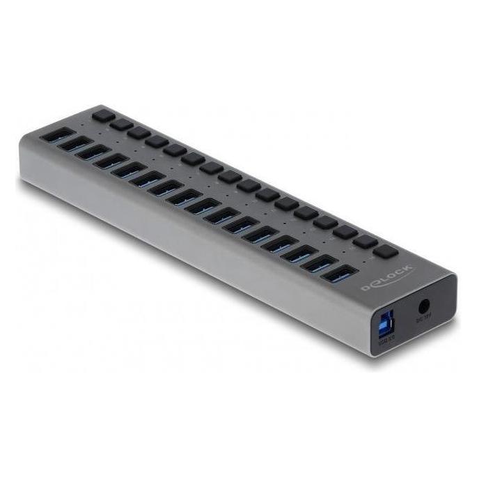 Delock SuperSpeed Hub (USB-B, 16 Ports) (63739)